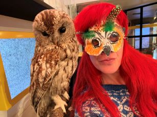 DIGITALT: Ugglornas superkrafter - workshop för de yngsta