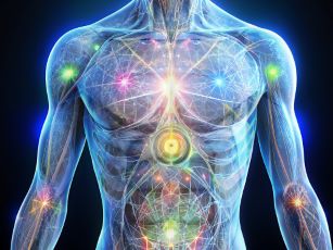 Explore the Magic of Muscles: A Workshop on Human Movement