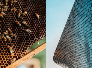 DIGITALT: Biomimetik