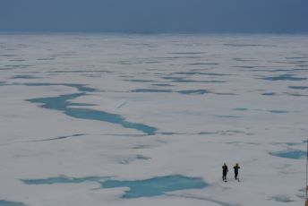DIGITALT: Fråga allt om Arktis och betydelsen för vår planet