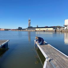 Besök den marina kolonilotten - Flytevi