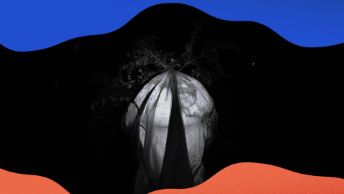 Molande jord – ett rop vid skogens rand