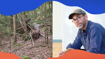 Vi kommer aldrig att komma ihåg allt vi visste