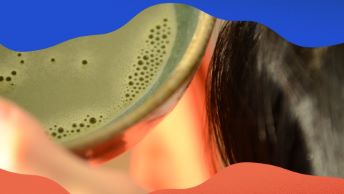 Ekon genom tiden… under solen